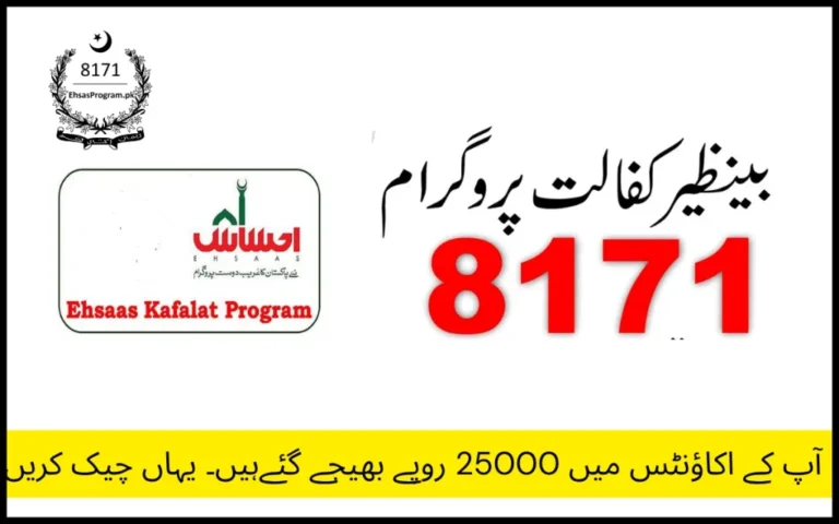 The 8171 Ehsaas Kafalat Program Registration Guide 2025